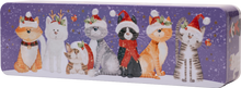 Load image into Gallery viewer, Farmhouse biscuits Cats Tin 225g
